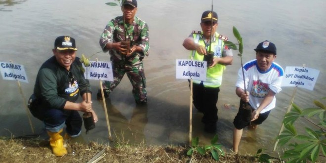 10000 Pohon Mangrove Hijaukan Pantai Sodong Kodam Iv